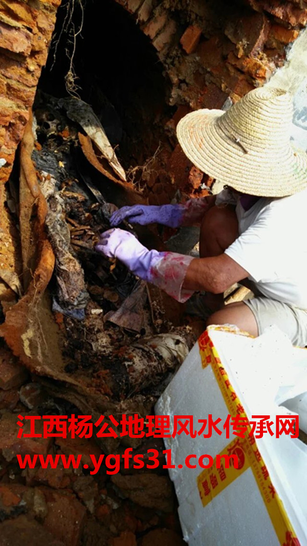 本门挖坟迁坟墓风水实例