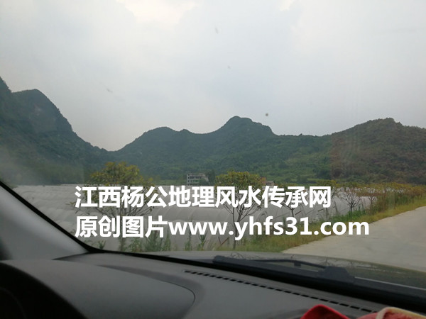杨公风水大地贵器——现形马