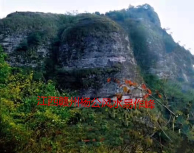 杨公风水大象挂钟贵过三公